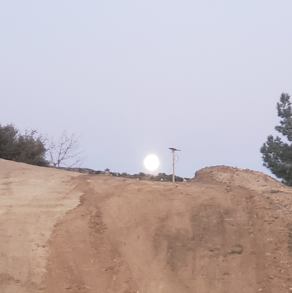 Hsppy 2021 - Picture 8 of 8